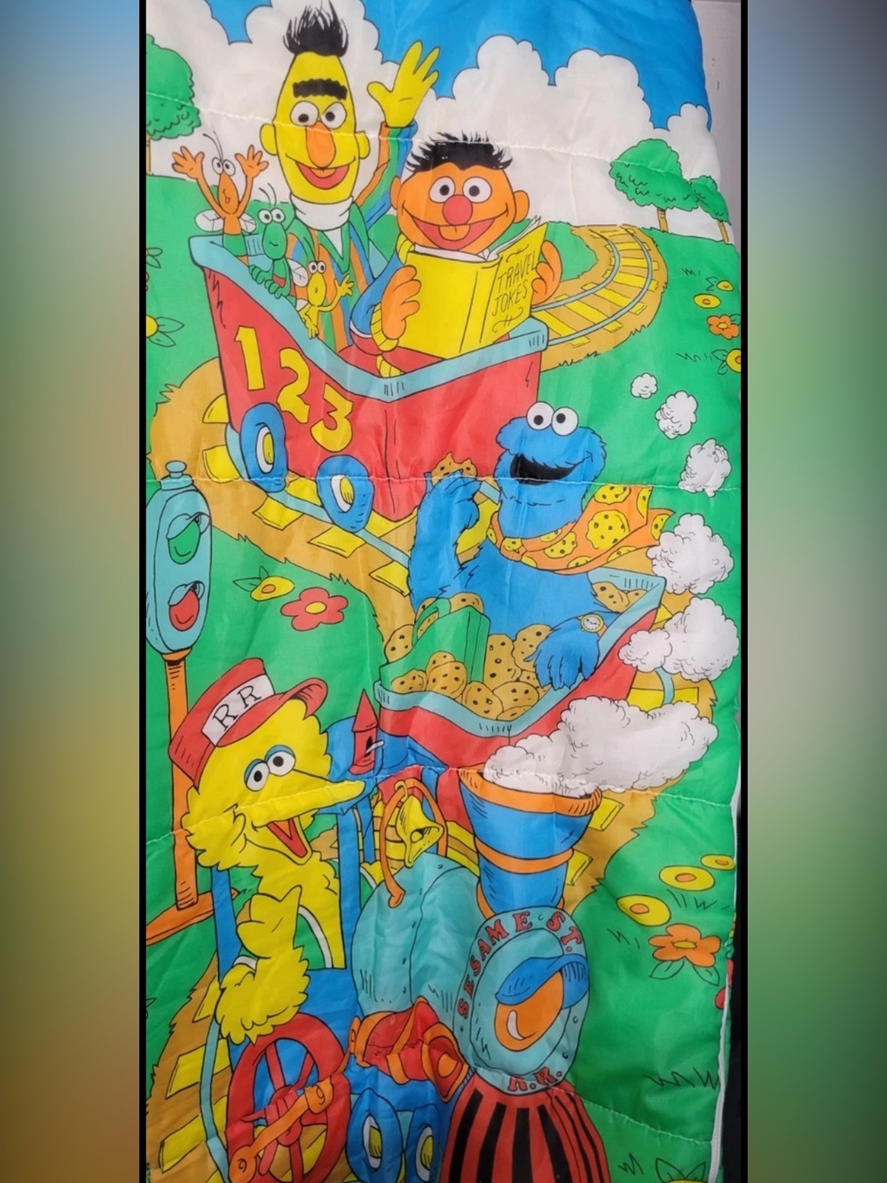 Sesame Street Train Yellow & Green Cartoon Sleeping Bag